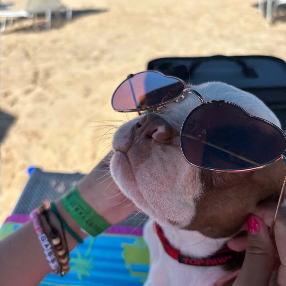 BOUJEE_COOKIE is live! Come say Hi! 😘 - Picture 7 of 10